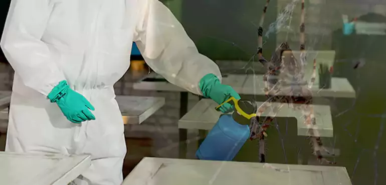 Why Buyers Still Want Homes With Pest Infestations in Palmdale, CA?