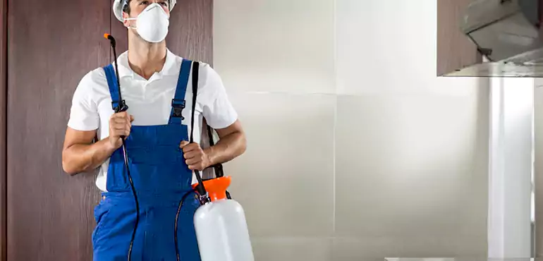 Why Palmdale Homeowners Choose Us When Pests Make Selling Difficult